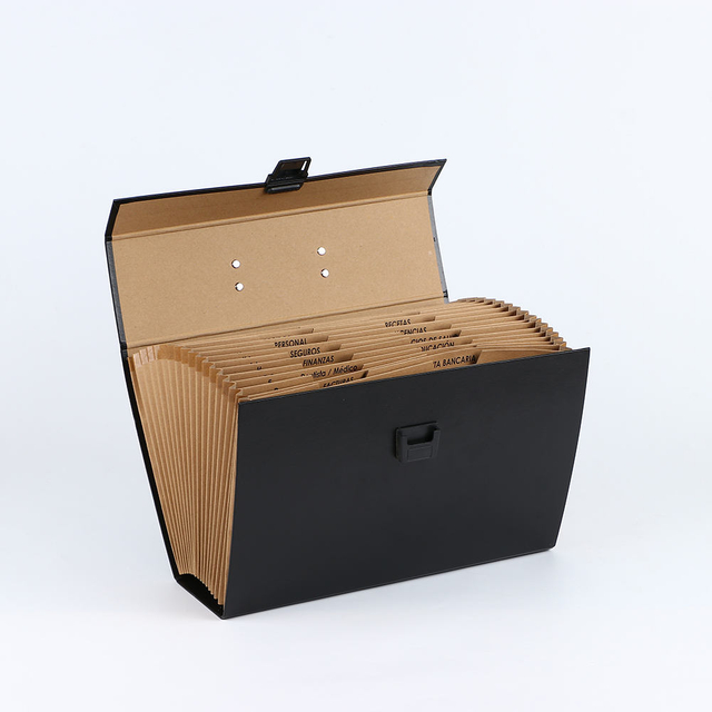 Logotipo OEM Custom 19 bolsillo A4 Expansión de la caja de archivo de acordeón Mango de documentos de papel Organizador de documentos Compañía de la oficina Escuela de uso de la carpeta