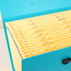 Logotipo OEM Custom 19 bolsillo A4 Expansión de la caja de archivo de acordeón Mango de documentos de papel Organizador de documentos Compañía de la oficina Escuela de uso de la carpeta