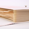 Logotipo personalizado al por mayor A4 Tamaño de tamaño de cartón Organizador de documentos en expansión de la carpeta de archivos de la escuela Bolsas de papel lindas