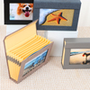 Logotipo personalizado al por mayor 4x6 Proyectos de bricolaje Estilo de acordeón Paper Foto Álbum de fotos Ports Birthday Wedding Family Photo colecciones